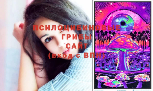 a pvp Абаза